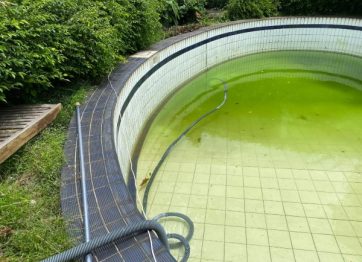 air kolam keruh