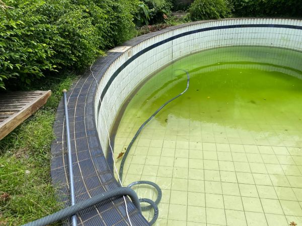 blog img